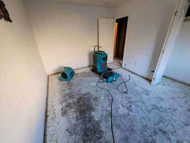 Best 24-hour water damage restoration  in Morgan Hill, CA