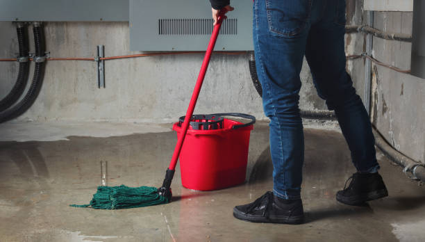 Best Water damage contractors near me  in Morgan Hill, CA