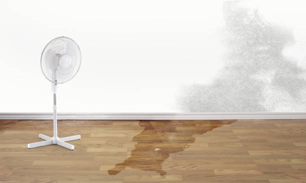 Best 24-hour water damage restoration  in Morgan Hill, CA