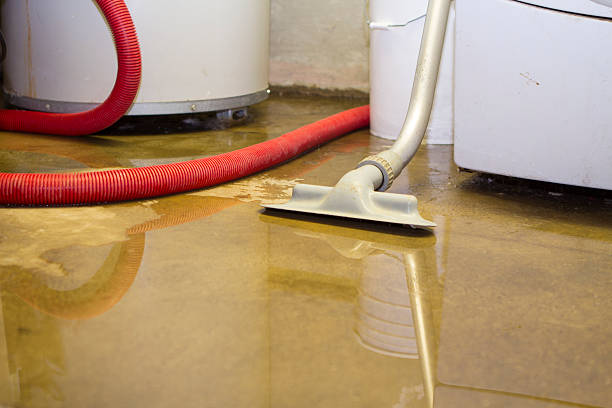 Best Water damage cleanup near me  in Morgan Hill, CA