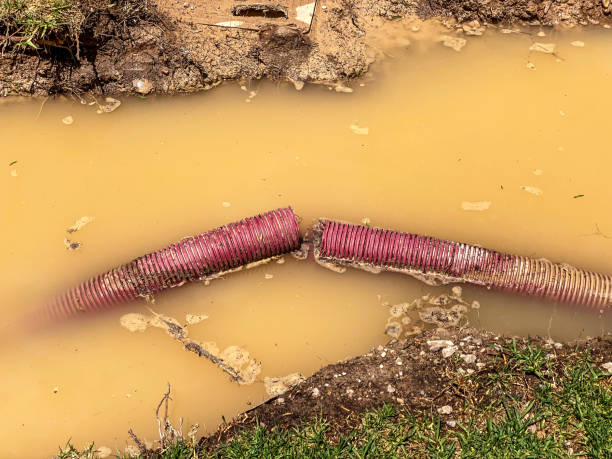  Morgan Hill, CA Water damage restoration Pros